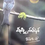 SHASTINAMANA  - Sri KUVEMPU