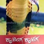 ravi belagere-kalinga kalaga