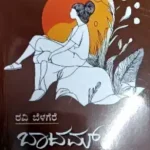 ravi belagere-novels-bottom item